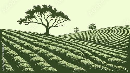 Rolling agricultural fields with trees in a serene landscape.