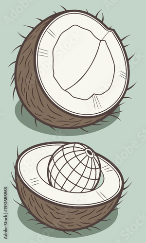 Two halves of a coconut one empty and one containing a globe symbolizing global reach or environmental themes.
