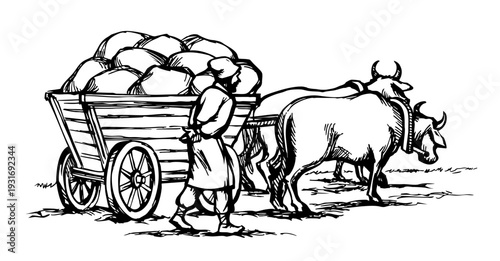 Vector drawing. Ancient cart with cows