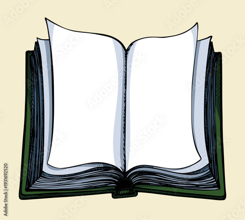 Vector linear drawing. Open book