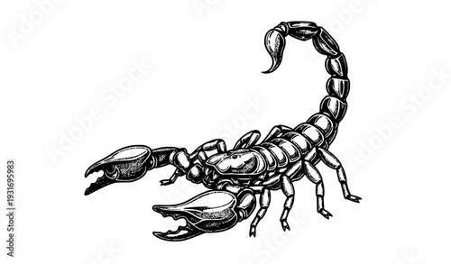 Detailed Engraving / Tattoo Style