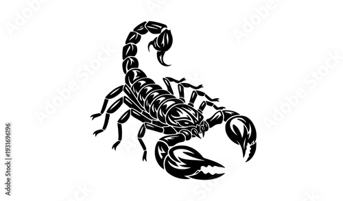 Scorpion Vector Illustration for Logos, Tattoos, Stickers and T-Shirt Designs