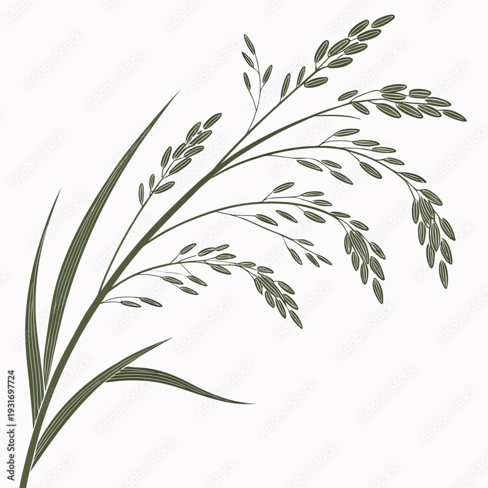 Fototapeta premium Minimalist rice composition carefully layered long