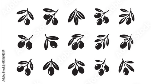 Collection of olive branch symbols simple botanical olive icons minimal black vector illustration set