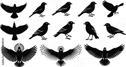 Black bird silhouettes set, minimalist avian vector icons, nature flying wildlife symbols, decorative crow and sparrow design elements, isolated white background illustration.