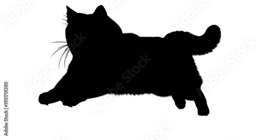 Graceful silhouette of a black cat in mid-leap against a plain background