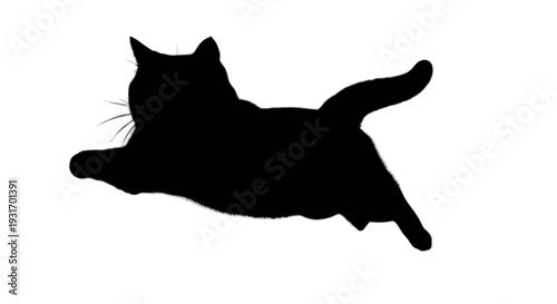 Silhouette of a cat mid-leap with outstretched paws in motion