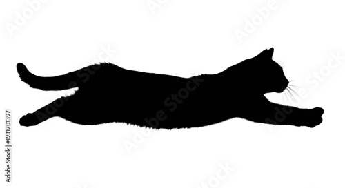 Graceful silhouette of a cat mid-leap in dynamic movement against a plain background