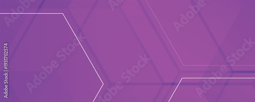 Modern banner purple background with hexagon lines. Vector eps10