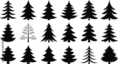 Black pine tree silhouette collection, coniferous forest evergreen vector icons, minimalist spruce and fir set, isolated on white background for design.