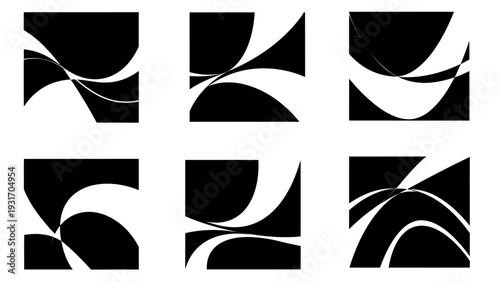 Abstract Black and White Curved Lines Forming Dynamic Geometric Patterns