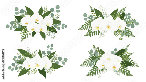 Set of four elegant floral arrangements featuring white orchids, fern leaves, and eucalyptus greenery isolated on a white background for design.