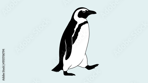 African Penguin Walking Isolated on Light Blue Background, Side View