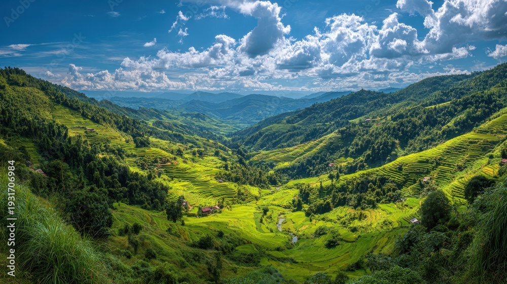 Fototapeta premium Breathtaking panoramic view of lush green rice terraces nestled in a mountain valley under a bright blue sky with fluffy white clouds