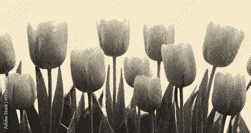 tulips field background in vintage sepia tones, retro halftone style spring flowers