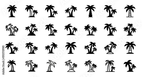 Collection of various palm tree silhouettes against a clean background, showcasing diverse illustrations of tropical trees