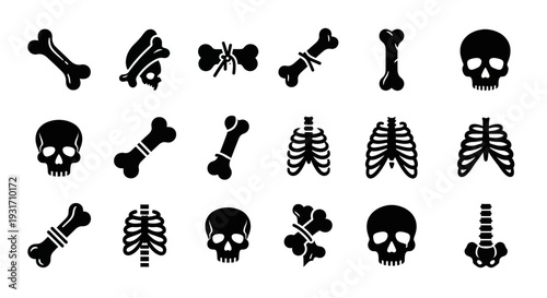 Collection of black anatomical bone and skull illustrations on a plain background from a straightforward viewpoint