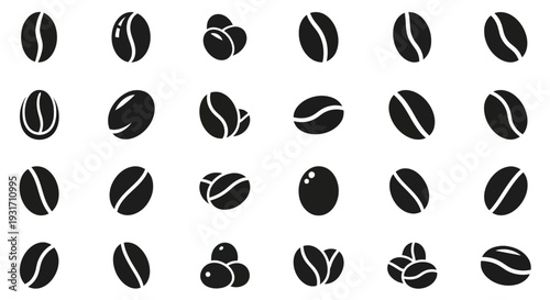 Collection of Various Coffee Beans and Seeds in Illustrations on a Plain Background from a Direct Viewpoint