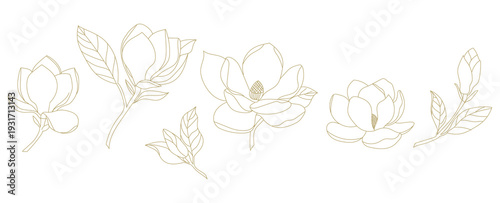 Golden floral line art with leaves and flowers