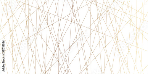 Abstract line background. abstract golden lines with white background creative and geometric shape with white luxury pattern and paper texture and geometric shape with white luxury style.