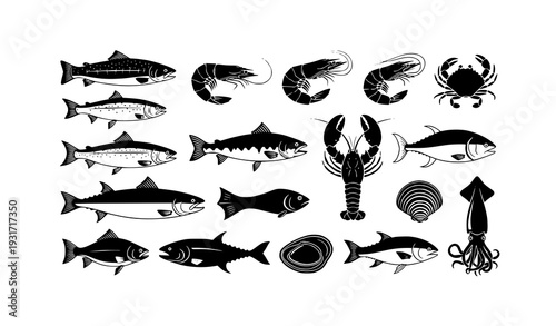 Vintage engraved fish and seafood vector illustration set with salmon lobster shrimp and shellfish isolated on white