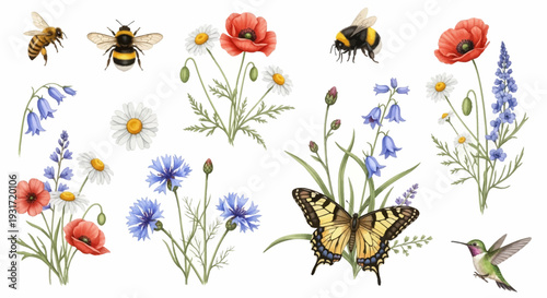 Colorful flowers and insects on white background