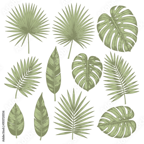 A vibrant assortment of hand-drawn tropical leaves and exotic foliage, ideal for botanical illustrations, summer designs, and nature-inspired decorative elements