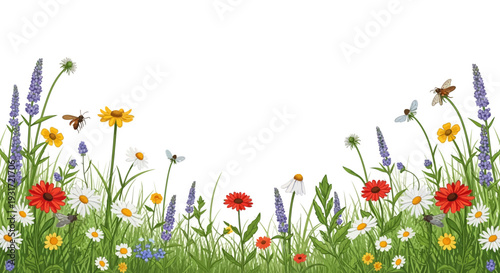 Colorful wildflowers and insects in a lush green meadow