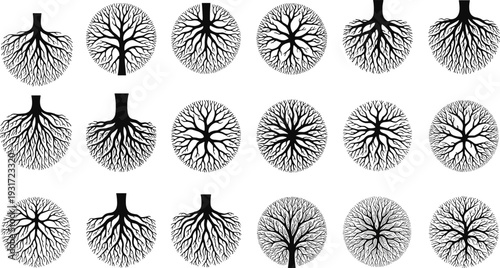 Collection of twenty stylized tree top view silhouettes with intricate branching patterns, radial designs, diverse canopy structures, landscape design inspiration, and botanical illustration artwork