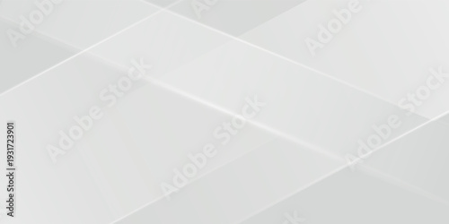 Abstract white and gray background. smooth abstract background, blurred pattern. Light pale vector background. Abstract pale geometric pattern eps 10