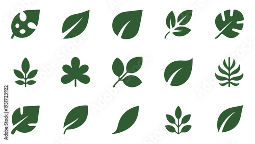 Collection of stylized green leaves in various shapes and forms representing nature and growth botanical elements