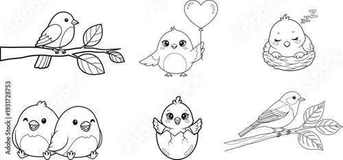 A collection of six adorable bird illustrations in various poses
