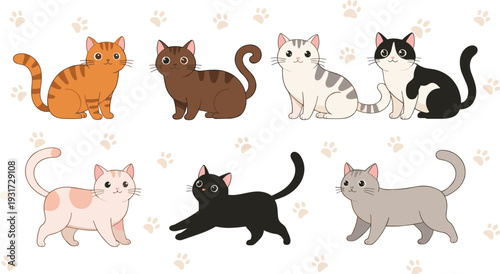 Cute Domestic Cat Cartoon Character Vector Set with Different Kitty Colors and Poses in Adorable Flat Pet Illustration Style