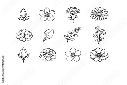 Generation flower icon single closed floral image bloom vector cluster stem simple