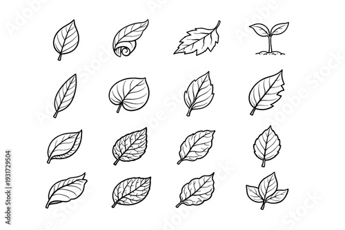 Round pointed vein vector icon natural leaf fallen torn sprouting folded