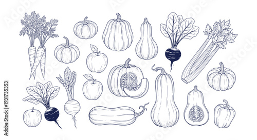 Hand Drawn Outline Fresh Organic Vegetables Fruits Doodle Collection Healthy Autumn Harvest Produce