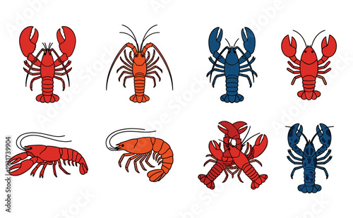 Detailed flat vector illustration of lobsters and shrimps in red and blue colors, seafood collection for restaurant menu market and marine life concepts