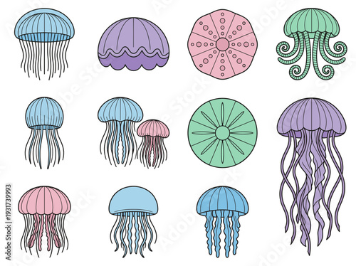 Colorful jellyfish collection with various tentacles shapes and bell patterns, underwater marine life creatures for ocean theme and biology education design