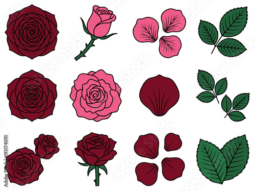 Comprehensive set of red and pink rose flowers buds petals and green leaves for romantic wedding floral arrangements and valentine day garden design