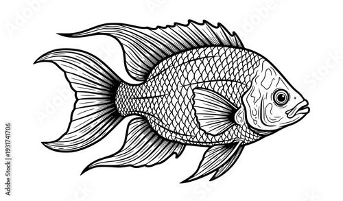Large Tropical Fish Black and White Line Art Vector Illustration with Detailed Scales and Flowing Fins