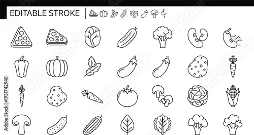 Editable stroke vegetable and food line icon set with pizza pumpkin broccoli eggplant carrot and fresh organic outline symbols isolated on white background