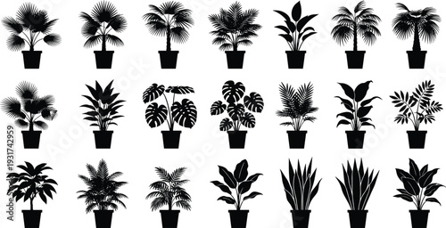 Collection of indoor potted plant silhouettes including tropical palm and houseplants isolated on white background botanical vector illustration set