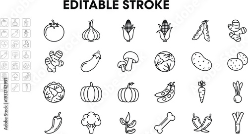 Editable stroke vegetable line icon set with tomato garlic corn mushroom pumpkin carrot and fresh food outline symbols isolated on white background