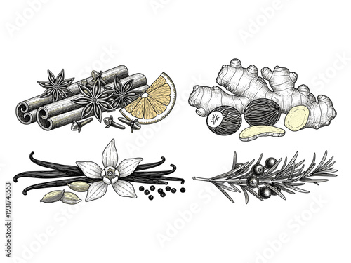 Spice Collection Assortment Culinary Ingredients Culinary Herbs