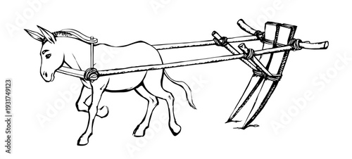 Vector drawing. Cute old mule