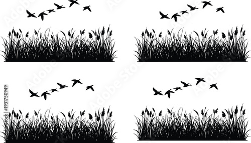 Flying Birds over Grass Silhouette Set with Reeds and Nature Landscape Isolated on White Background Vector Illustration Collection