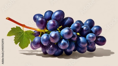 Fresh bunch of plump purple grapes with lush green leaf on neutral background showcasing juicy texture and vibrant color for healthy lifestyle and nutrition purposes