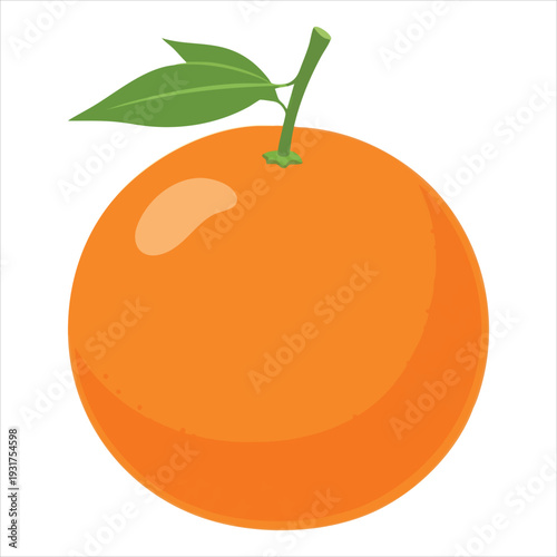 illustration of an orange fruit