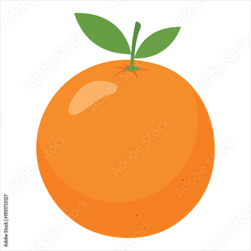 illustration of an orange fruit