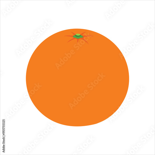 illustration of an orange fruit